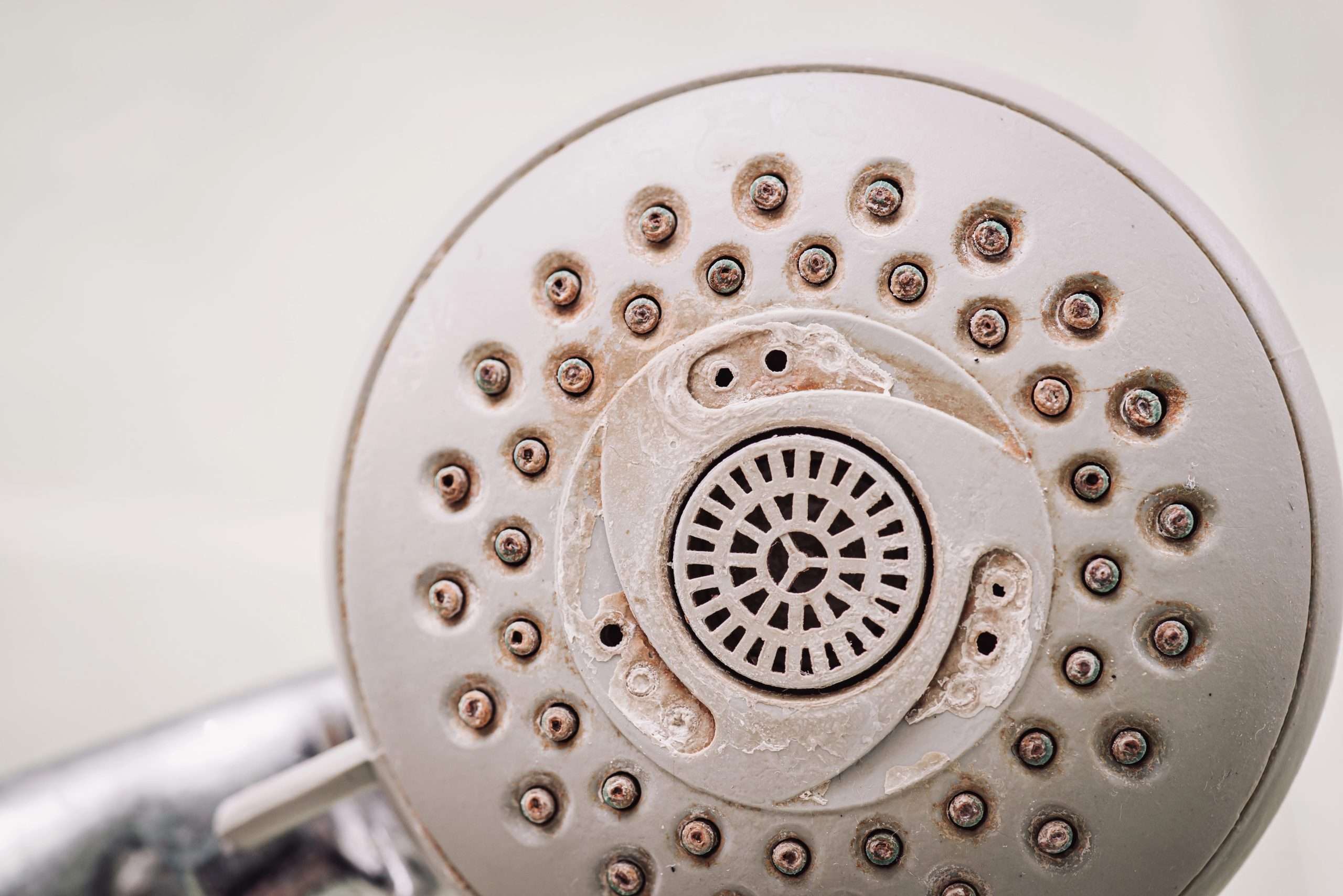 Close-up of a modern shower water fixture with hard water buildup.