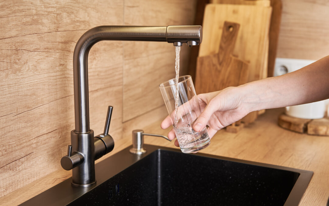 The Definitive Guide to Choosing the Best Water Filter for Your Home
